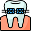 Orthodontics icon
